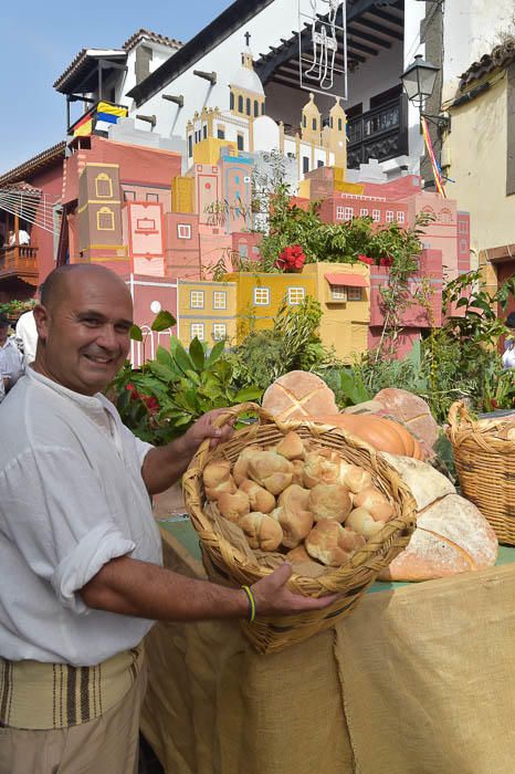 Carretas y grupos en la romería del Pino