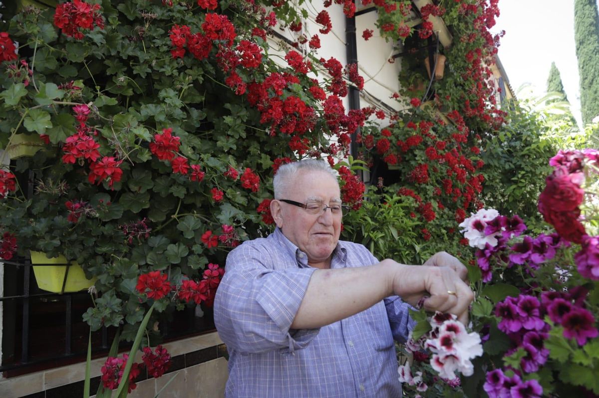 Marcelino Calzado, ganador el primer premio de Rejas y Balcones, en su vivienda de Manuel Soro 'Tinte' 3.