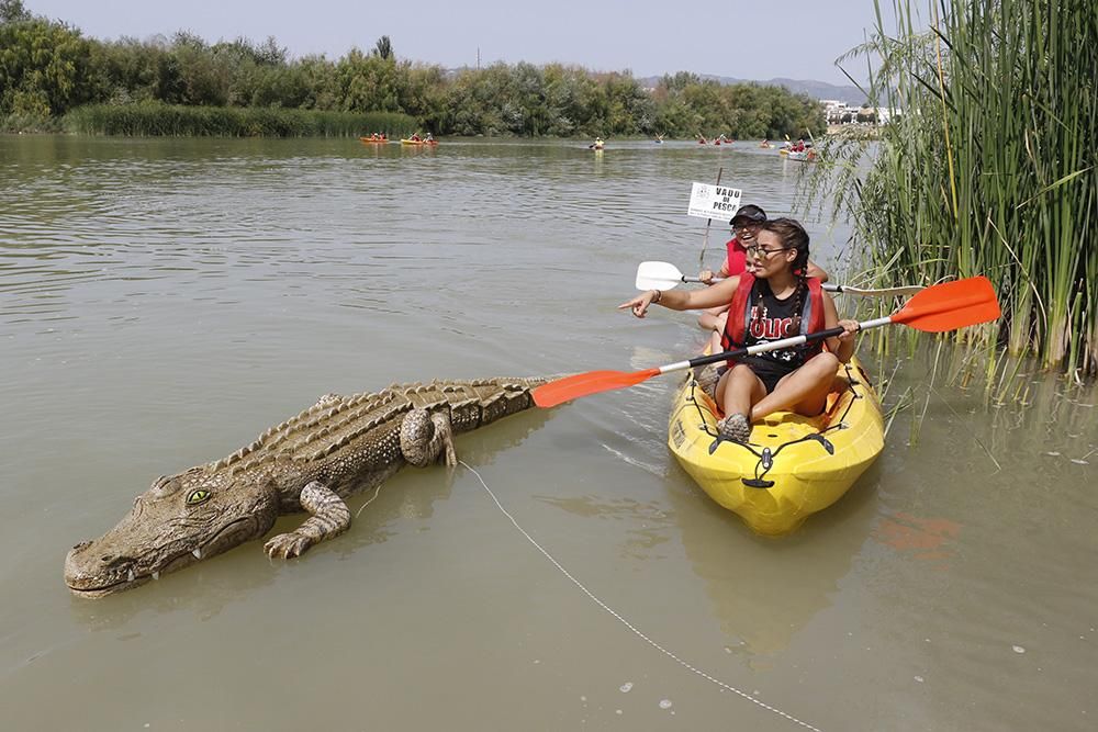 Fotogalería / Ruta del Caimán por el río Guadalquivir.