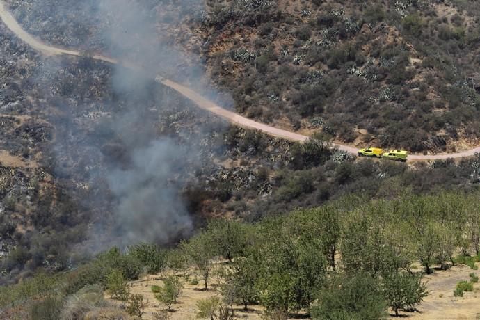 Incendio en Tejeda, Gran Canaria