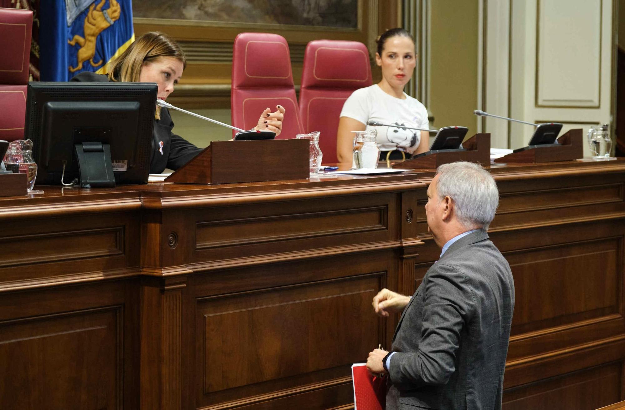 Sesión plenaria del Parlamento de Canarias.