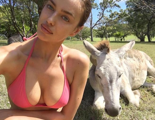 Irina Shayk selfie con un burro
