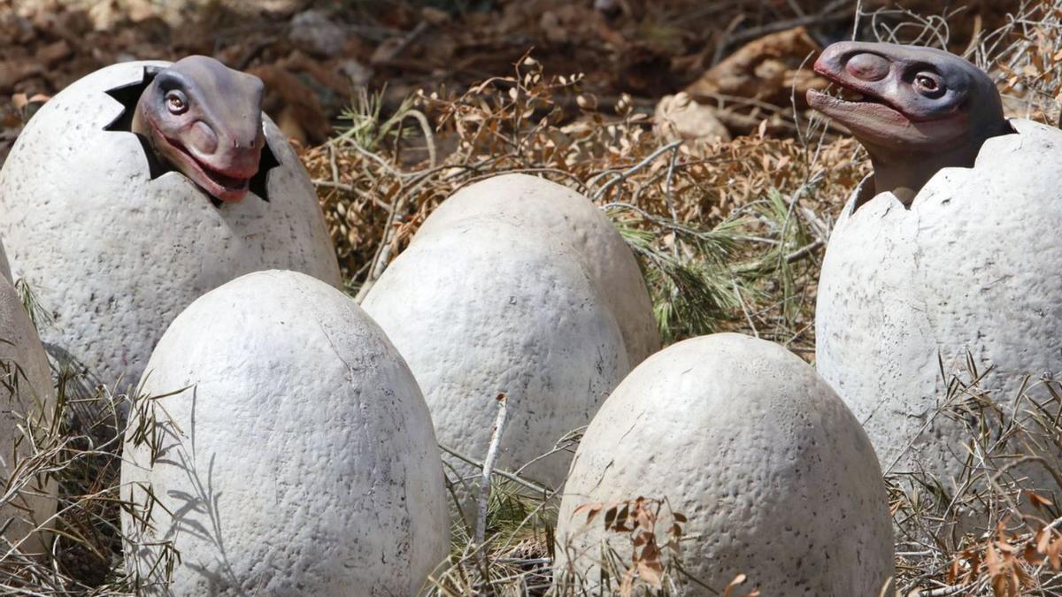 Na, was schlüpft denn da? Daraus werden mal Titanosaurier.  | FOTO: NELE BENDGENS