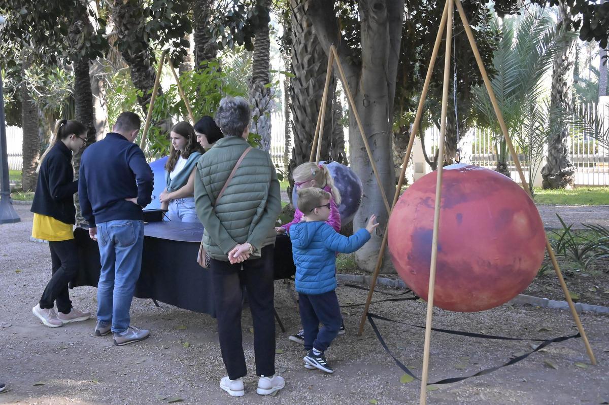 Así ha sido el scape room para reivindicar el Palmeral de Elche