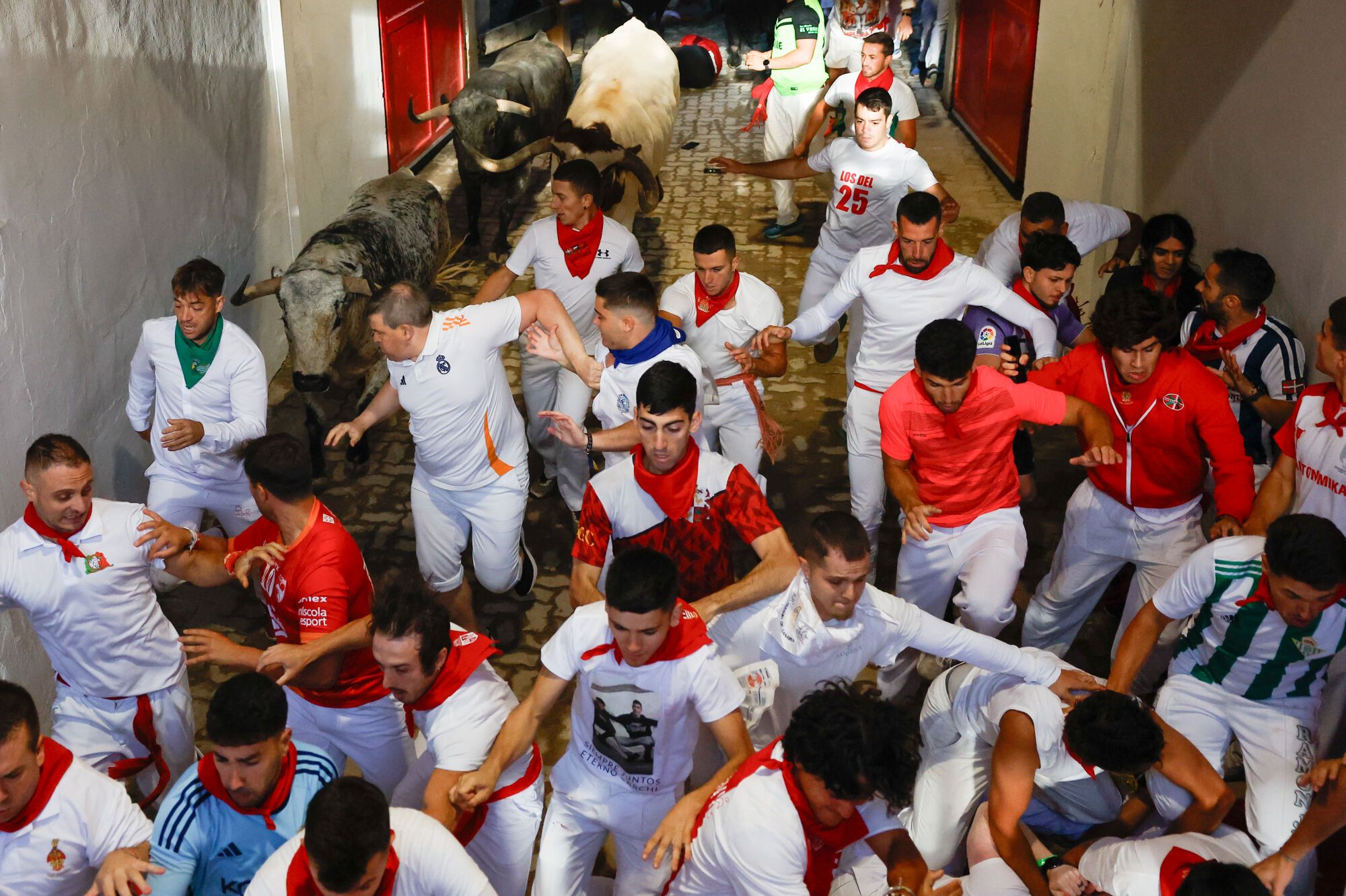 PAMPLONA, 08/07/2025.- Varios corredores son perseguidos por los toros de la ganadería Cebada Gago en el acceso a la Plaza de Toros durante el segundo encierro de los Sanfermines este martes, en Pamplona. EFE/ Villar López