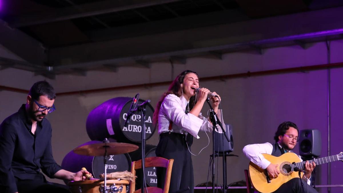 La Cata Flamenca de Montilla une tradición y juventud en un mismo tablao