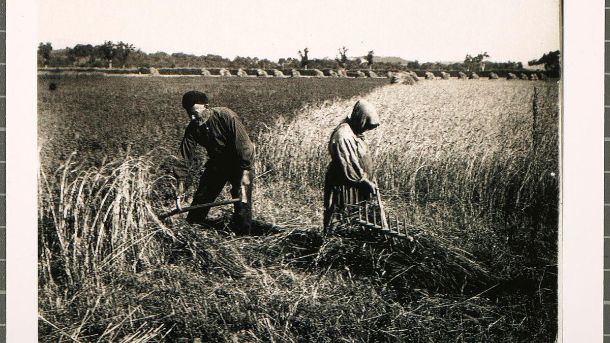 Campesinos de Santa Llogaia, en 1930.