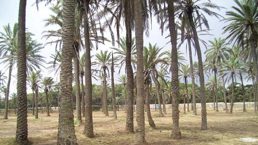 Ferrís, más limpio que antes de la romería del Rocío