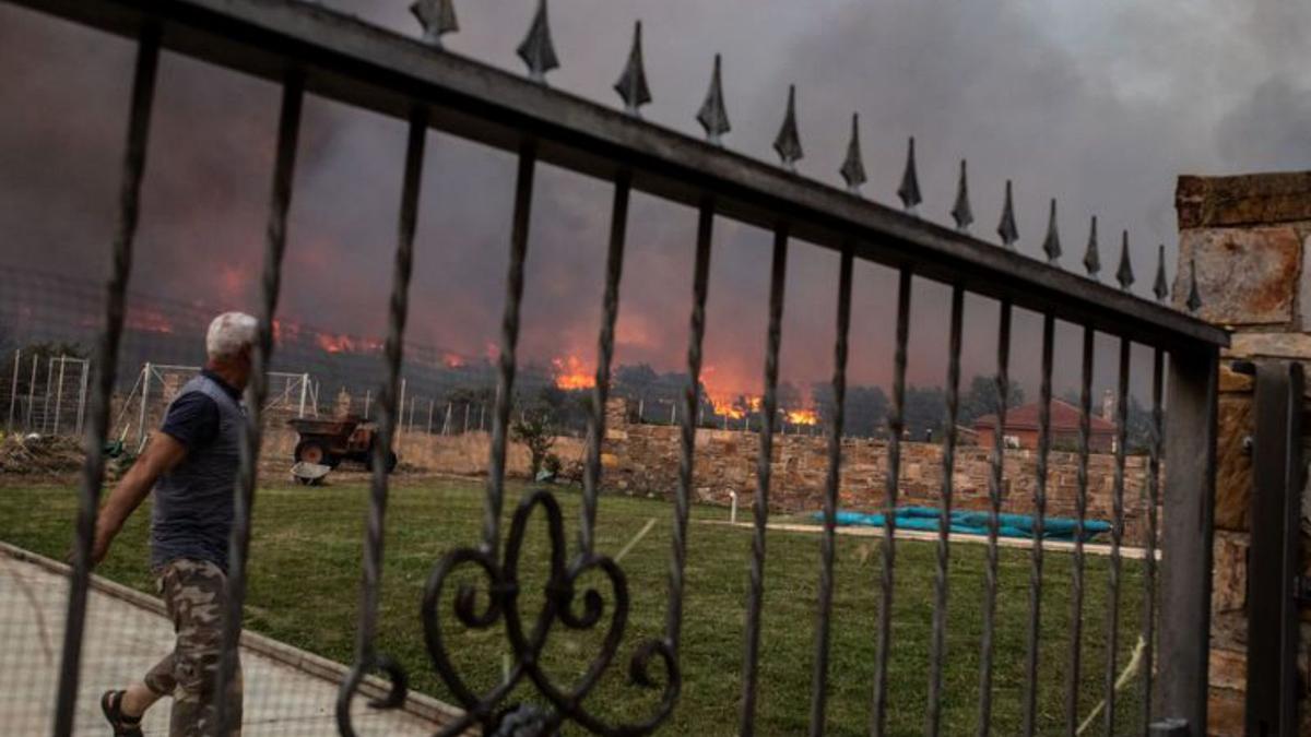 Distintos momentos del incendio en las comarcas de Alba y Tábara, que se inició ayer por la tarde en Losacio . | 
Emilio Fraile 