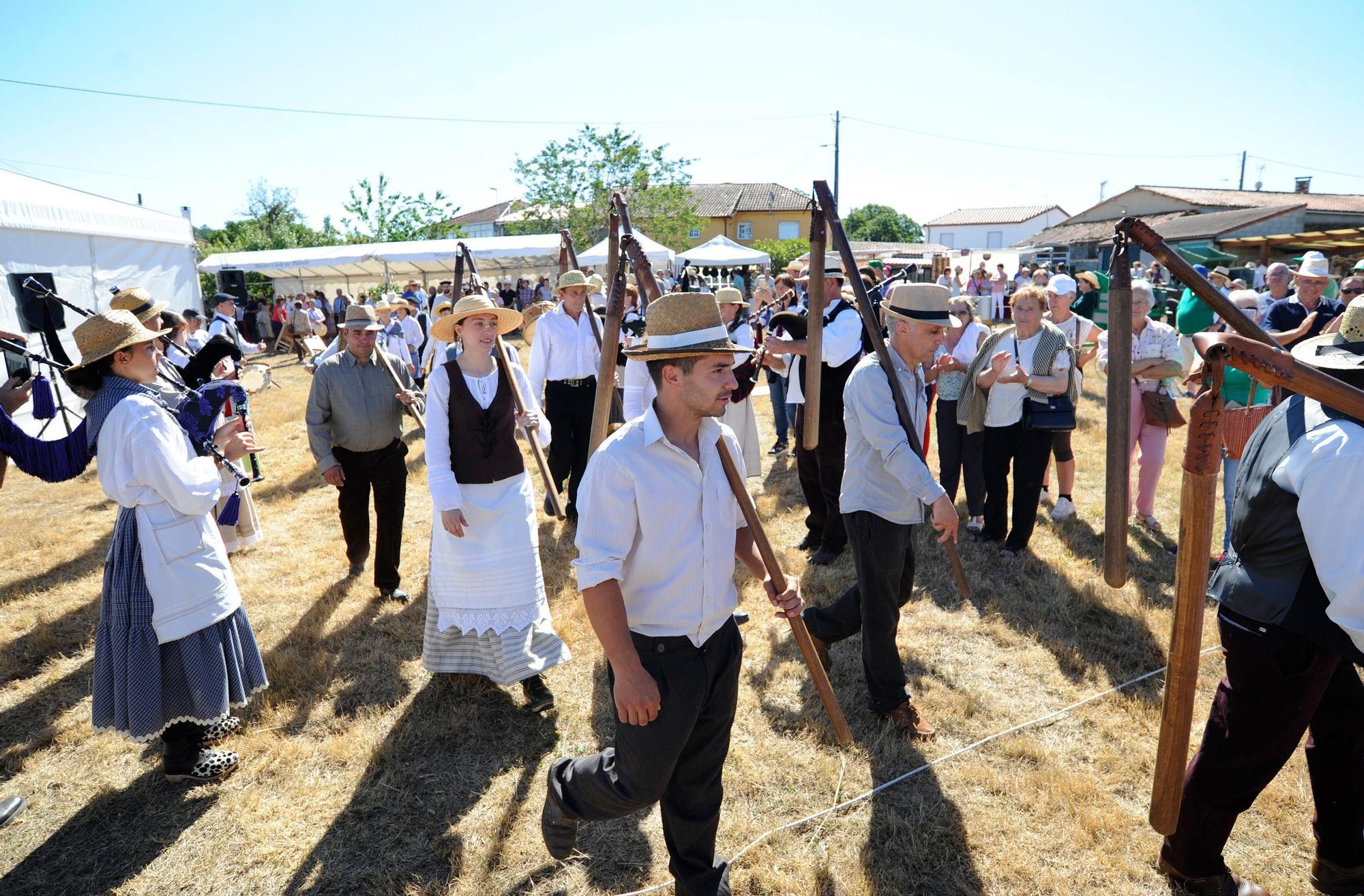 A Festa da Malla