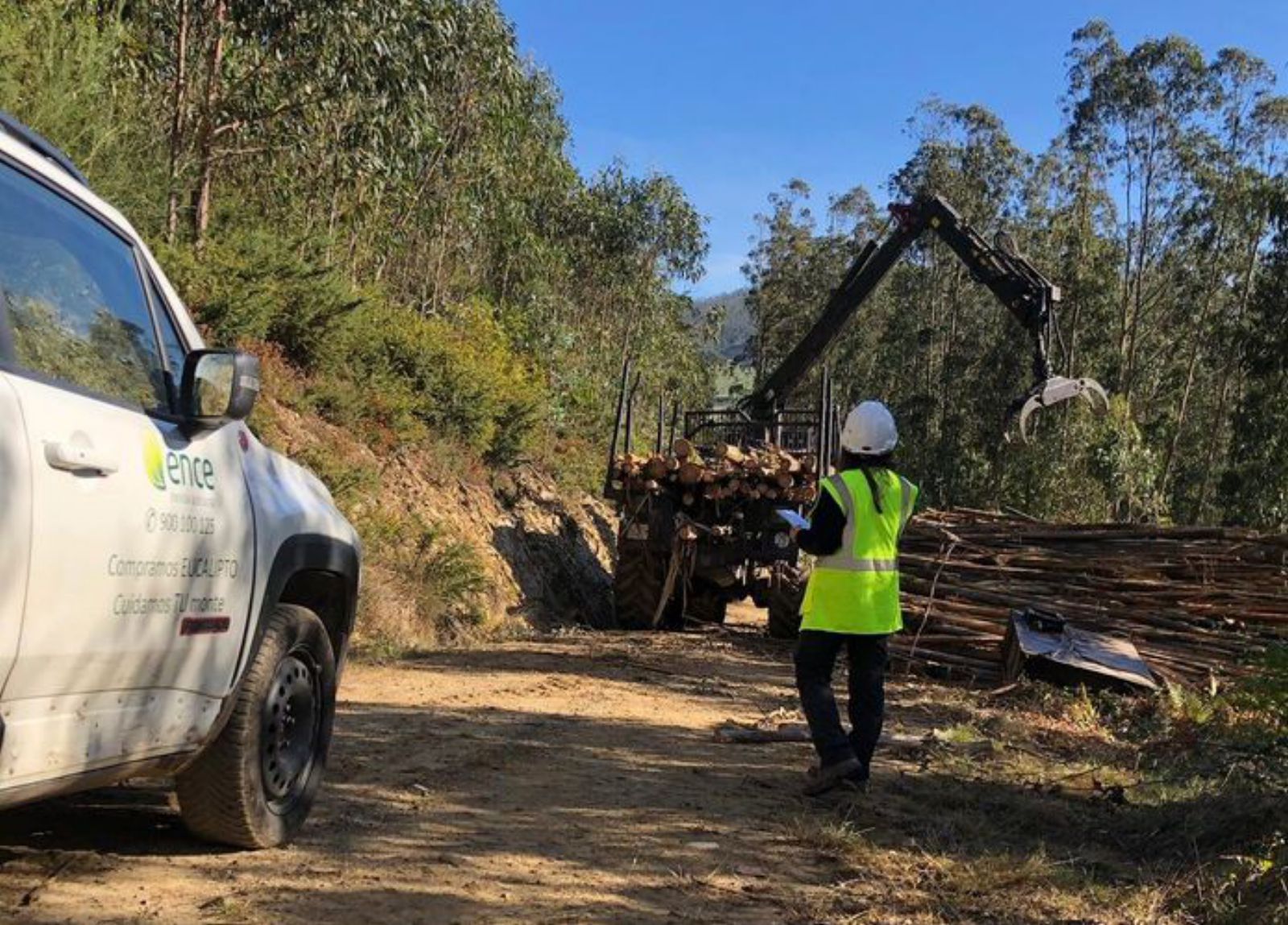 Una trabajadora de Ence realizando labores en un bosque. 