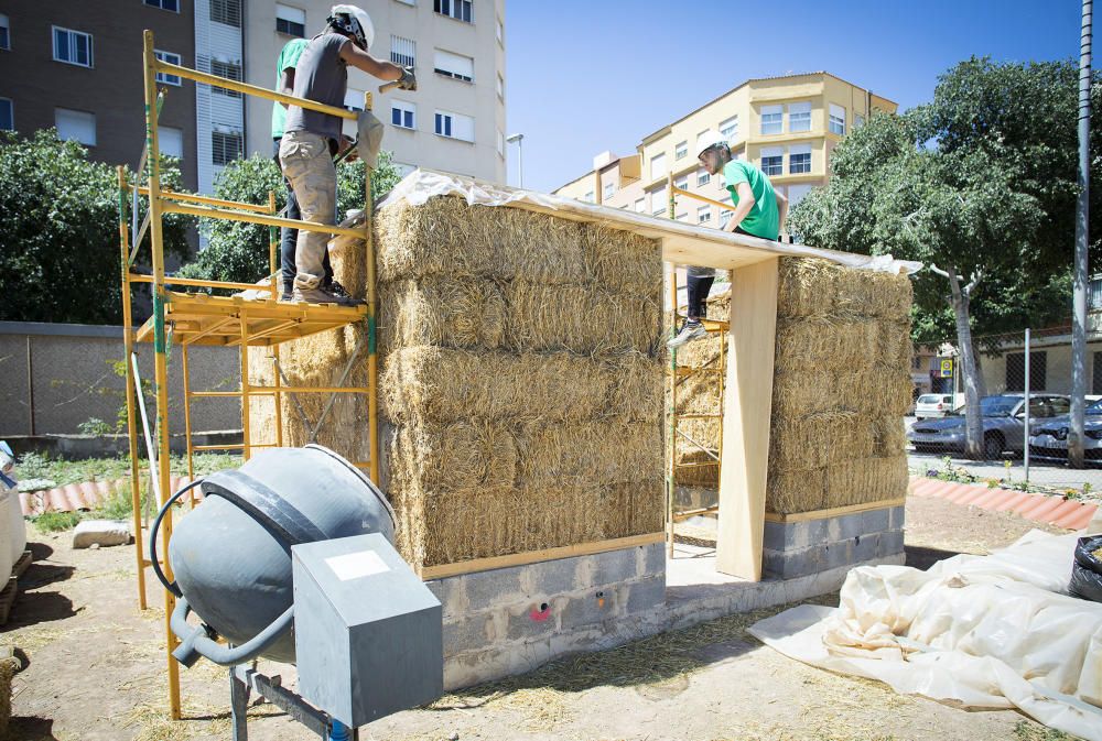 Hort interdisciplinari a l'IES Maltide Salvador de Castelló