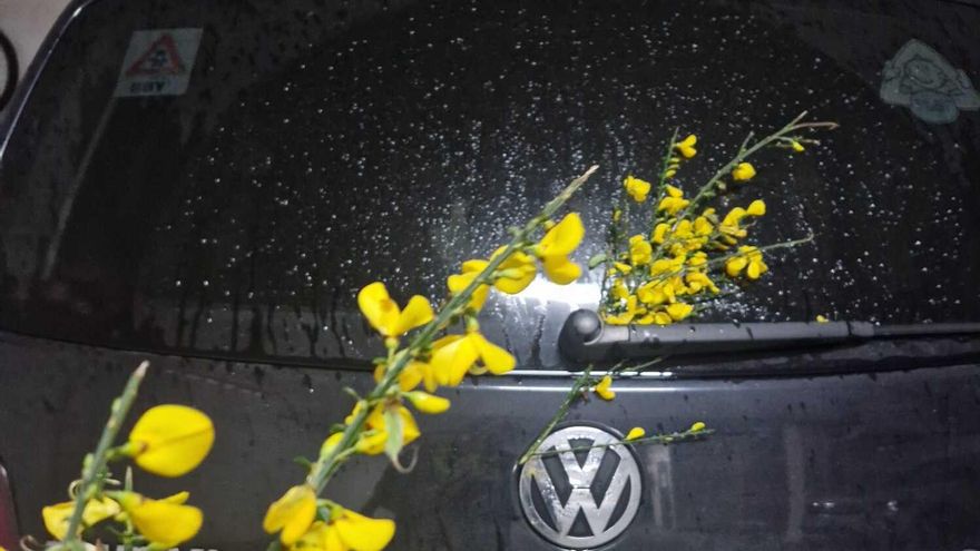 La Guardia Civil confirma la sanción por llevar ramas de xesta en el parabrisas del coche