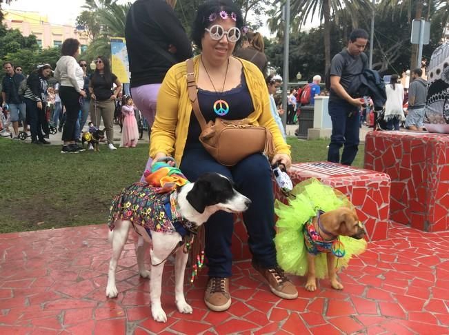 Carnaval de Las Palmas de Gran Canaria 2017: Carnaval Canino