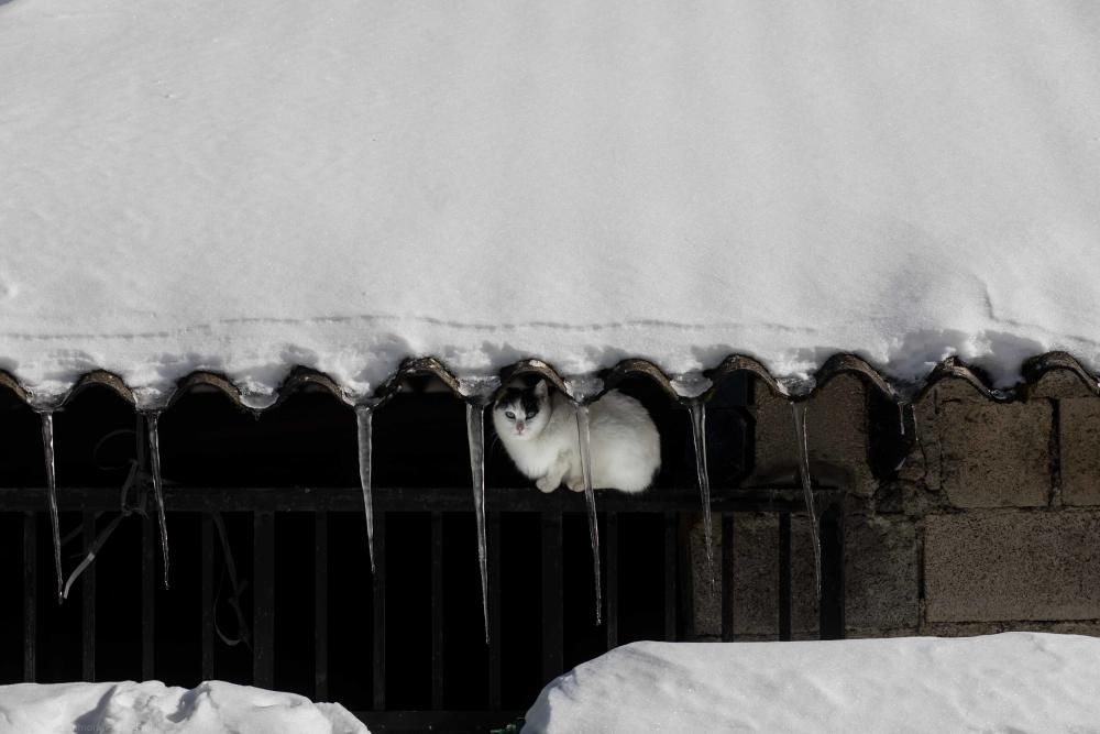 La nieve en Sanabria