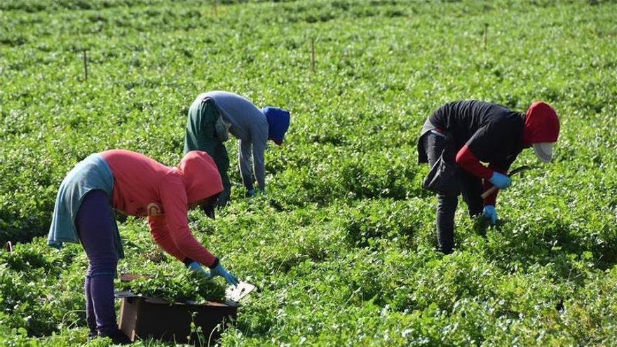 CCOO estima que la ILP de regularización de inmigrantes beneficiará a unas 350 personas en Córdoba