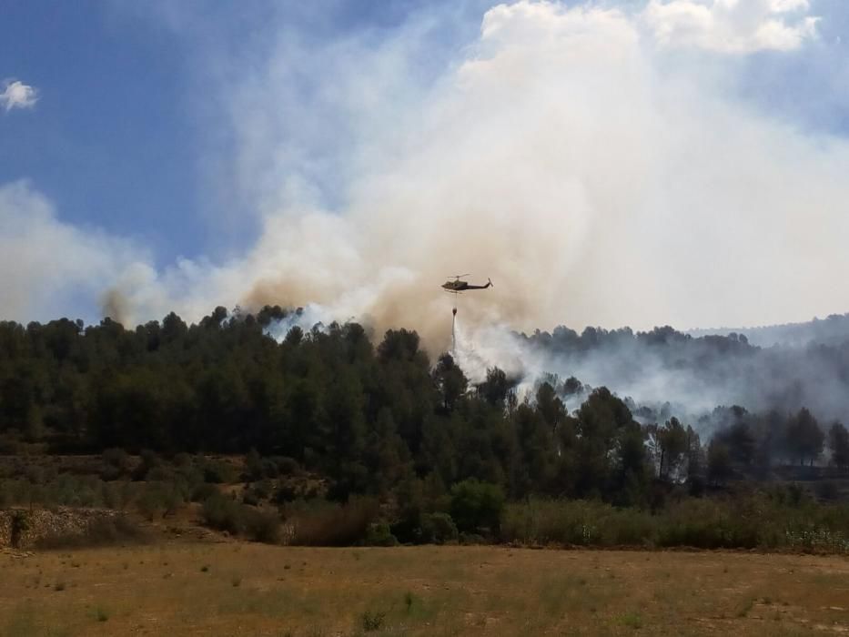 El fuego, en el término de Chella.