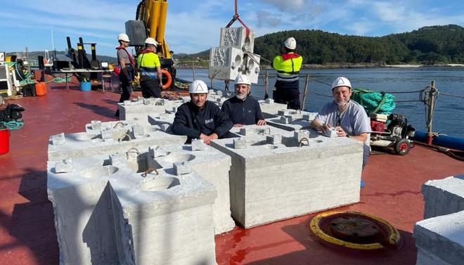 La ría de Vigo: el nuevo hogar del bogavante