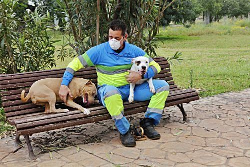 In Son Reus kommen derzeit kaum Hunde oder Katzen an. Knapp die Hälfte der Zwinger steht leer.