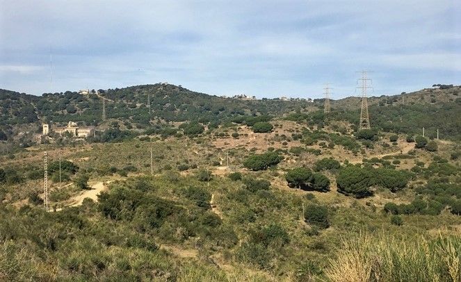 Zona forestal de Badalona.