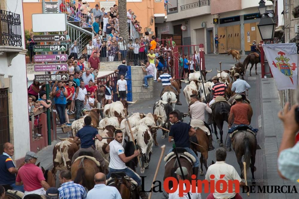 Último encierro en las Fiestas de Moratalla