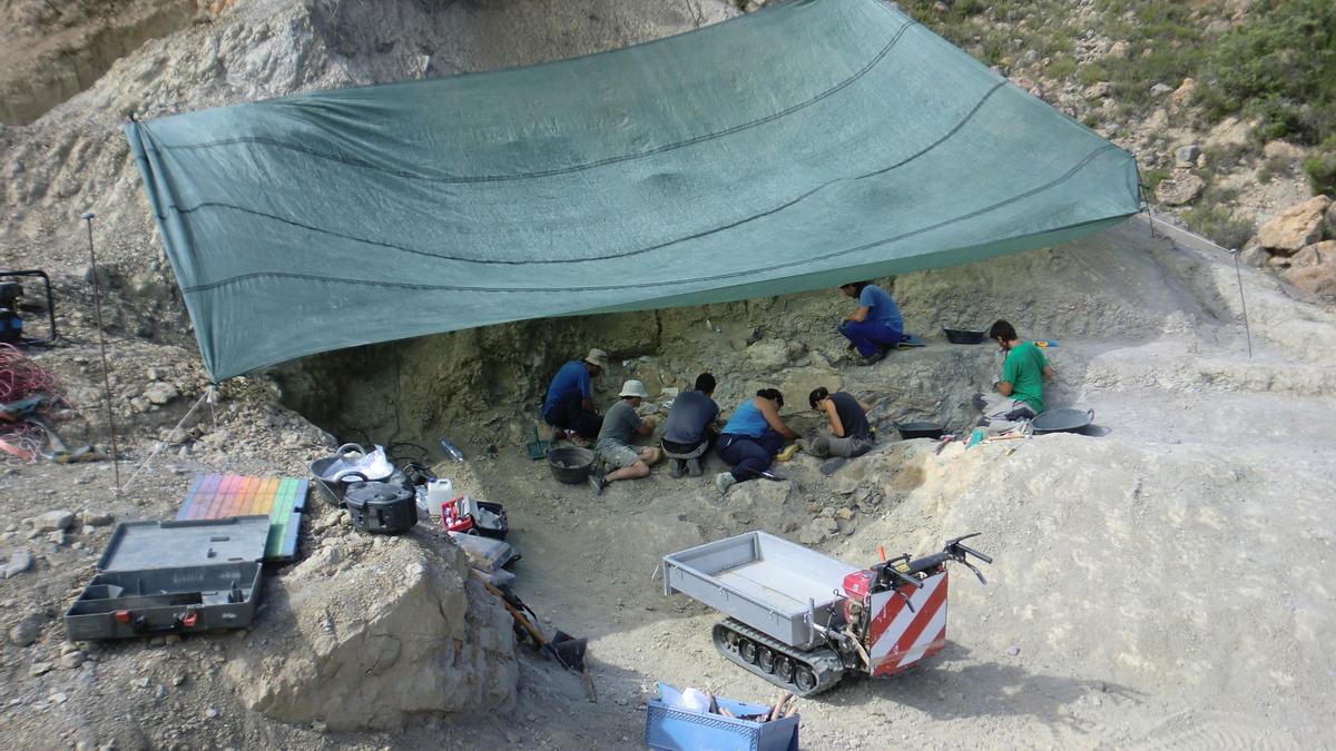 Excavación del &#039;Abditosaurus kuehnei&#039; en el Pirineo catalán.