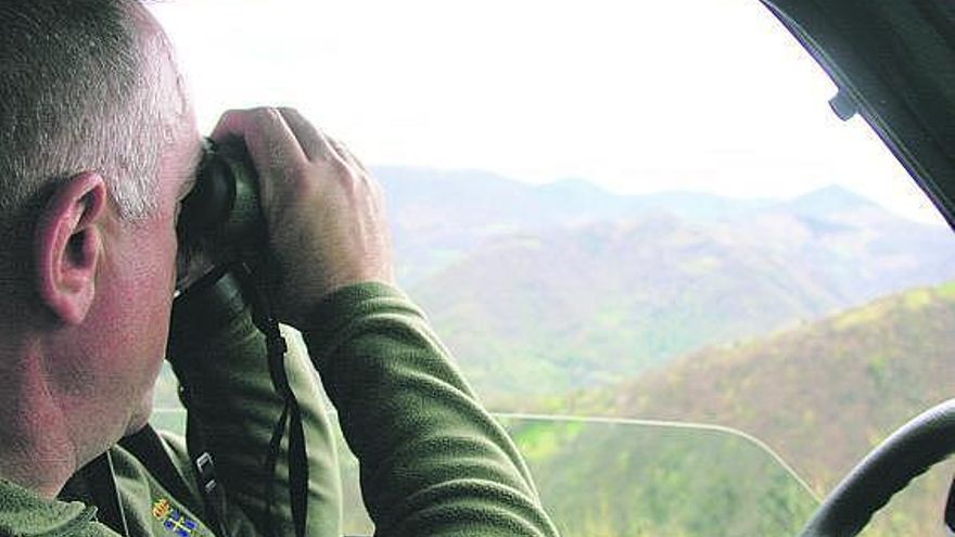 El guarda mayor Miguel Fernández registra la zona con sus prismáticos.