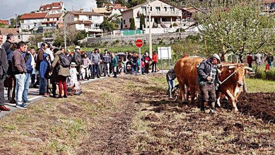 Recreación de la sementeira tradicional.