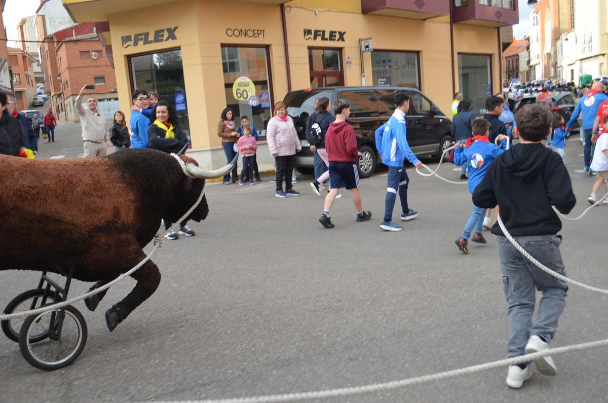 La XXI Carrera del Toro Enmaromado en La Veguilla, en imágenes