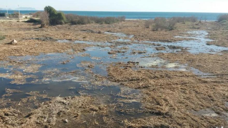 Costas ordena paralizar el desbroce del río Seco que está acabado desde hace una semana