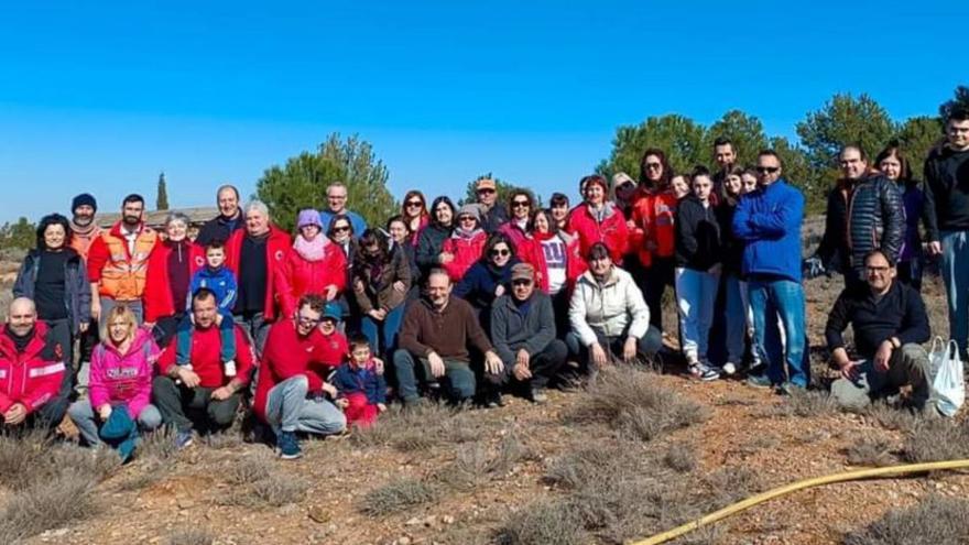 Participantes en la jornada de plantación del 11 de febrero.  |