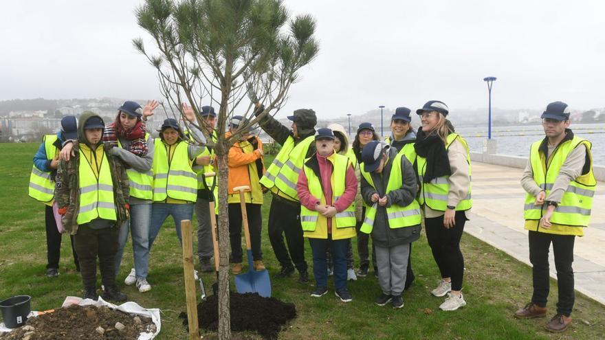 Comienzo de la reforestación de la ría de O Burgo