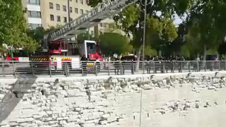 Simulacro de los Bomberos de Zaragoza en el río Ebro