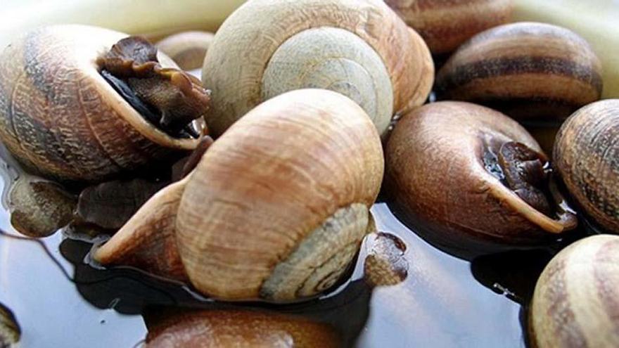 El próximo 2 de junio en Ríogordo, en el Día del caracol se repartirán 500 kilogramos entre los 5.000 visitantes.