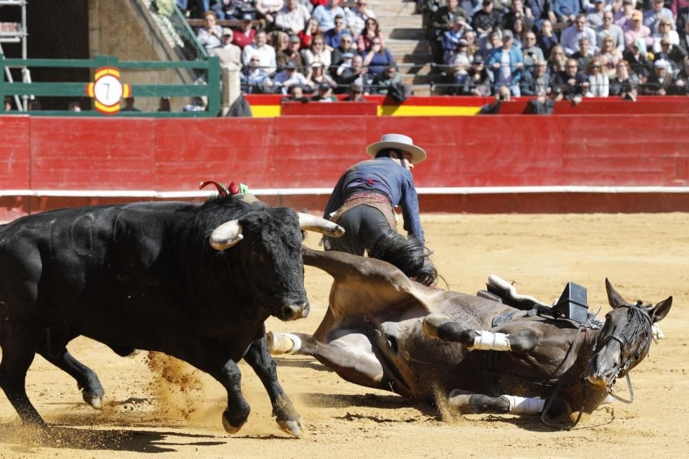 Secuencia de la cogida de uno de los caballos del rejoneador Sergio Galán el día de San José en la Feria de Fallas 2019.