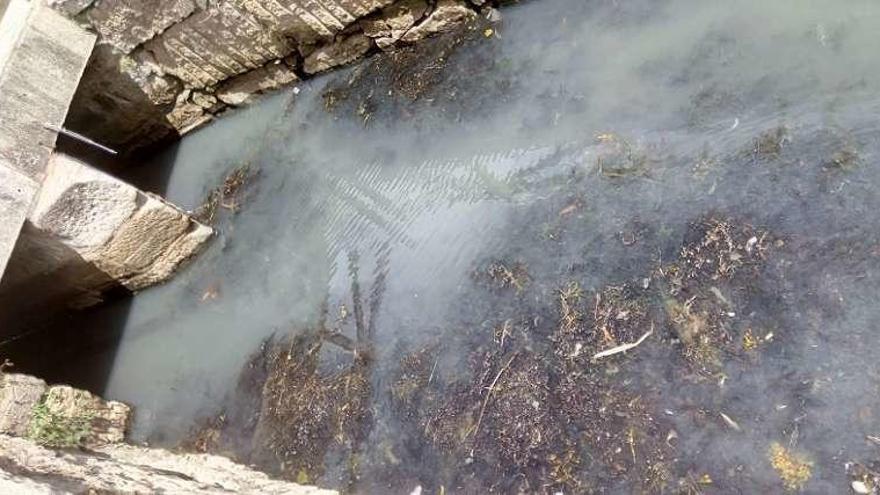 El agua del regato presentaba ayer una turbidez blanquecina. // FdV