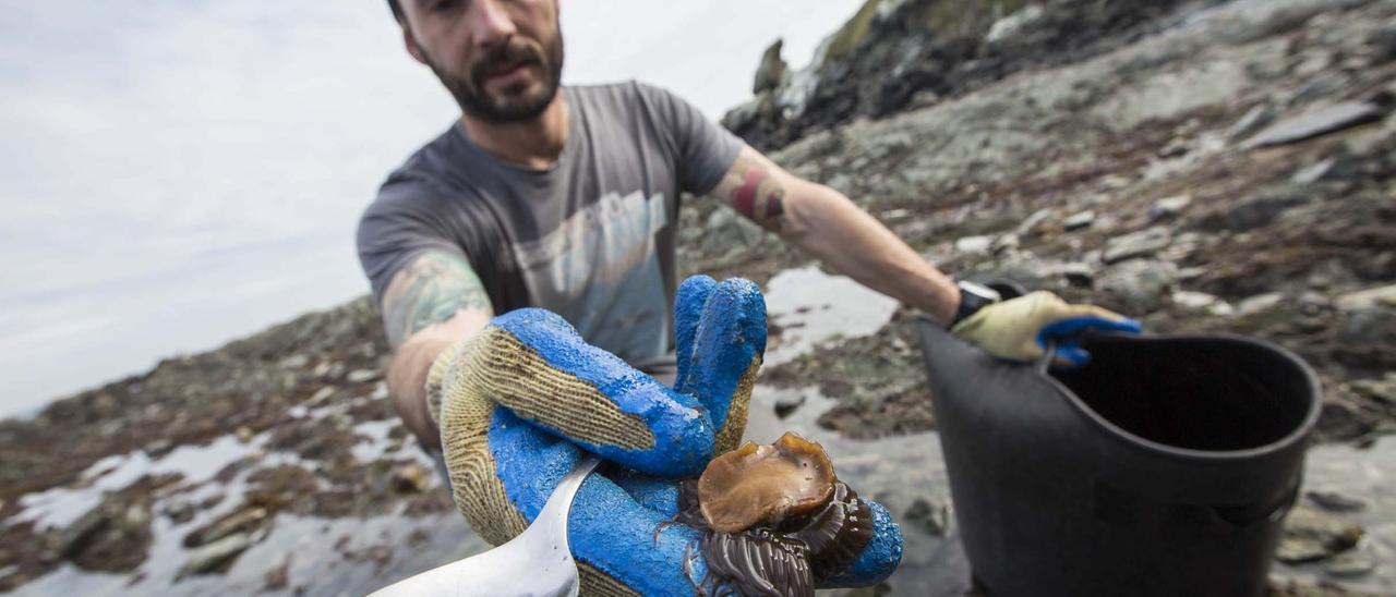 Iván Pulido recogiendo ortiguillas en una playa de Muros de Nalón