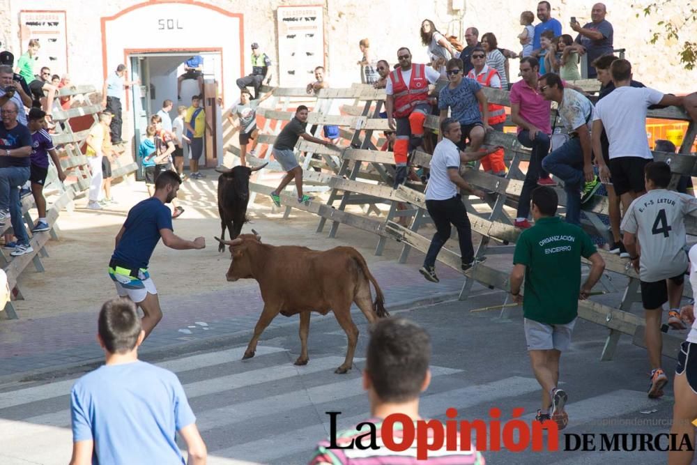 Encierro 'pequeño' en Calasparra