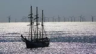 El 90% de las zonas elegidas para parques eólicos marinos en España amenazan a las aves