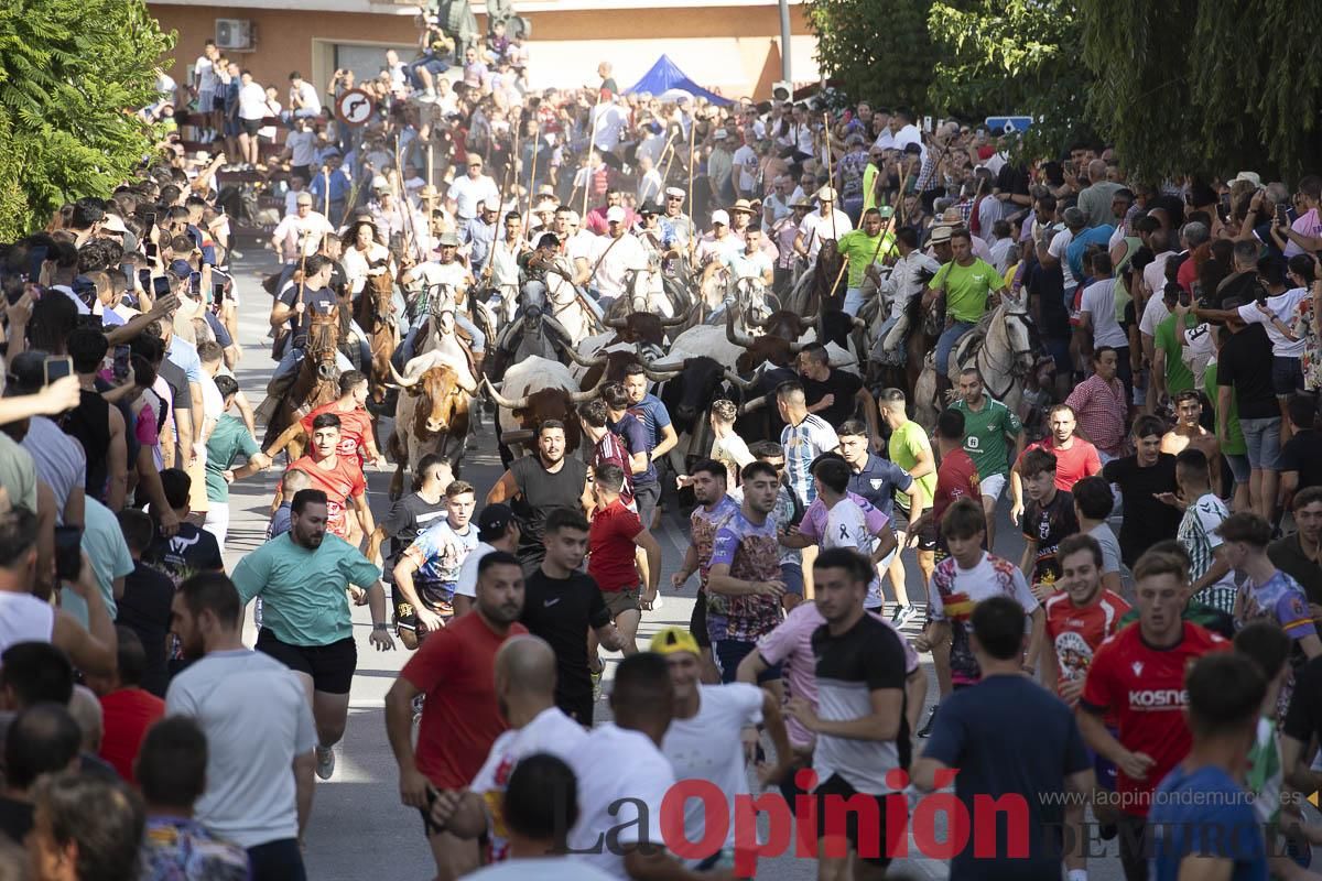 El segundo encierro de las Fiestas de Moratalla se salda con un herido