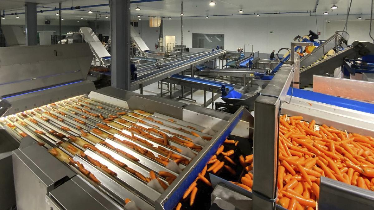 Las instalaciones de Agrícola Villena en Cádiz.