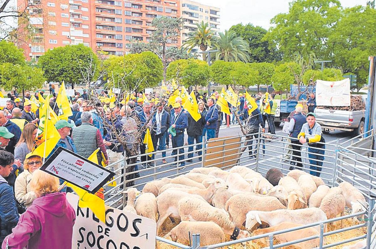 Concentración de agricultores de secano y ganaderos en Murcia.