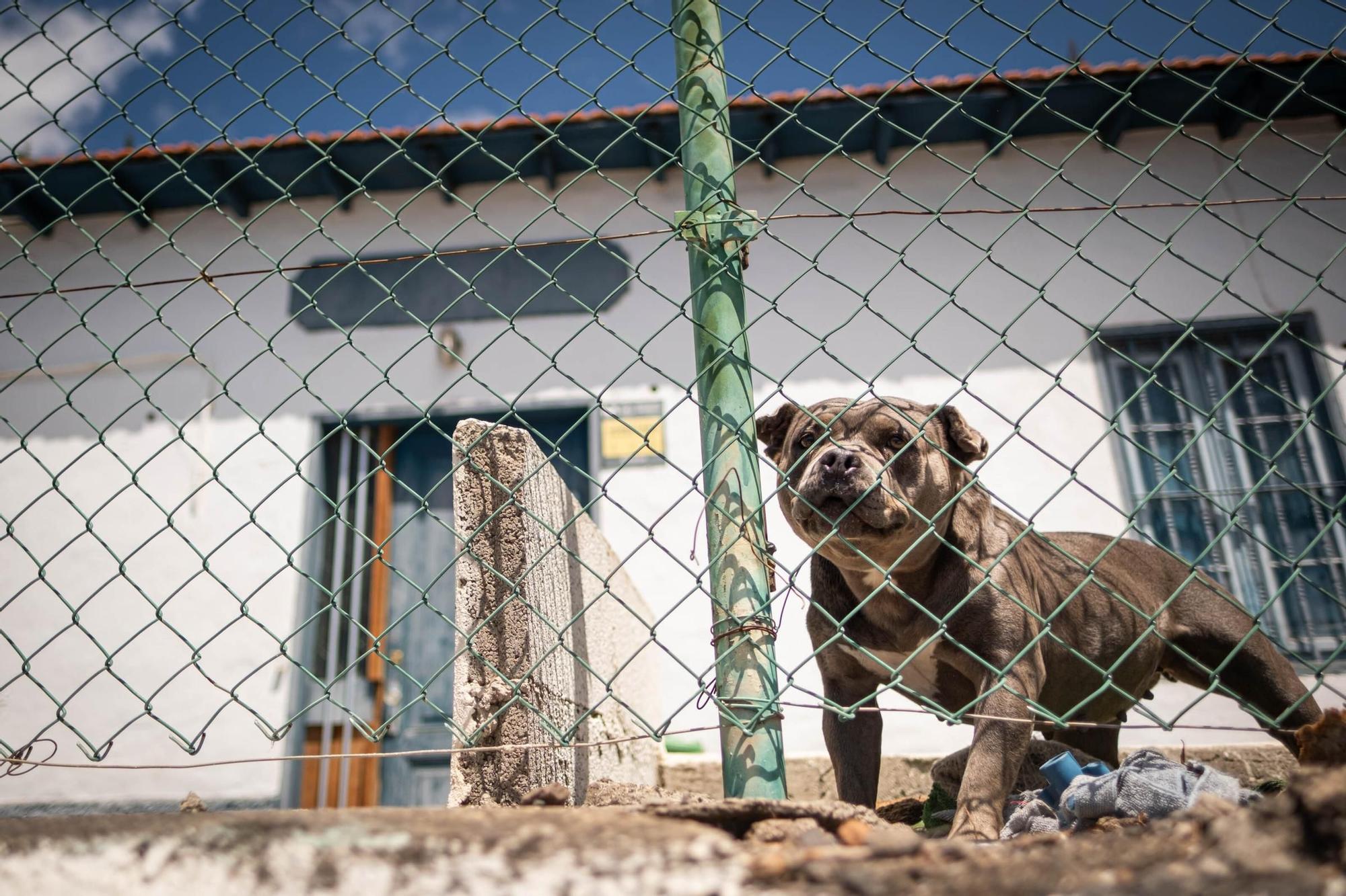 Una ONG de San Andrés pide la Casa del Peón Caminante para su labor social