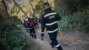 "Pocs caçadors, molt bosc i cap llop: més senglars amb risc de transmetre malalties"