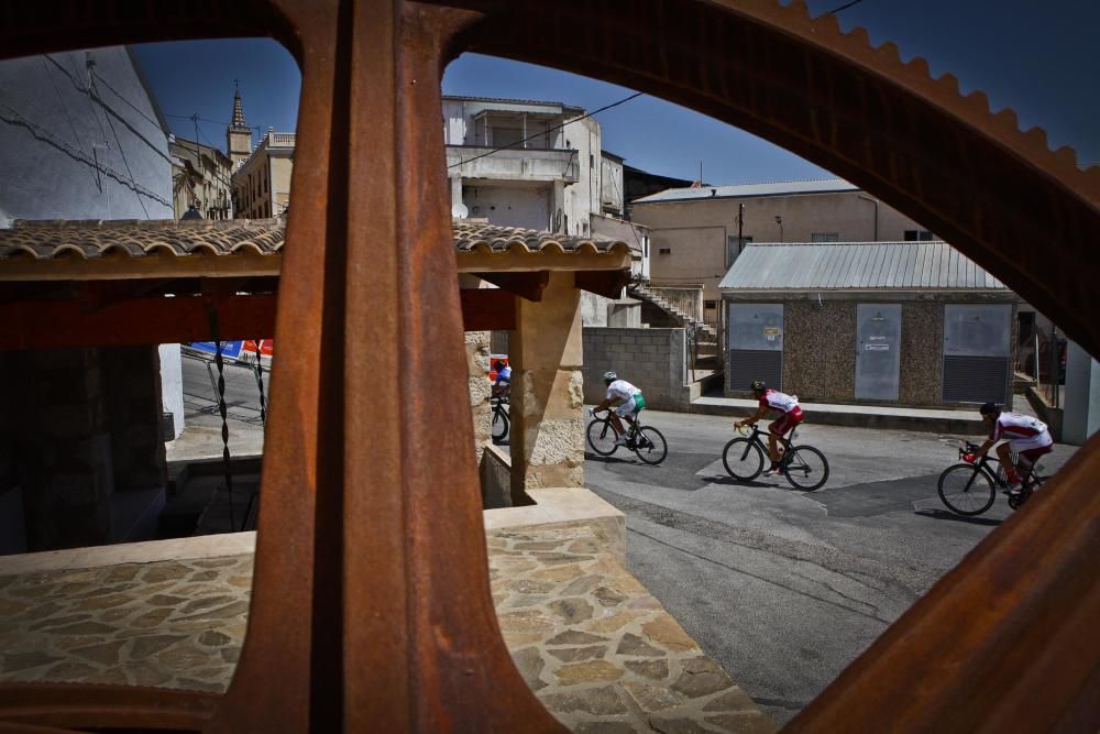 Campeonato de España de Ciclismo