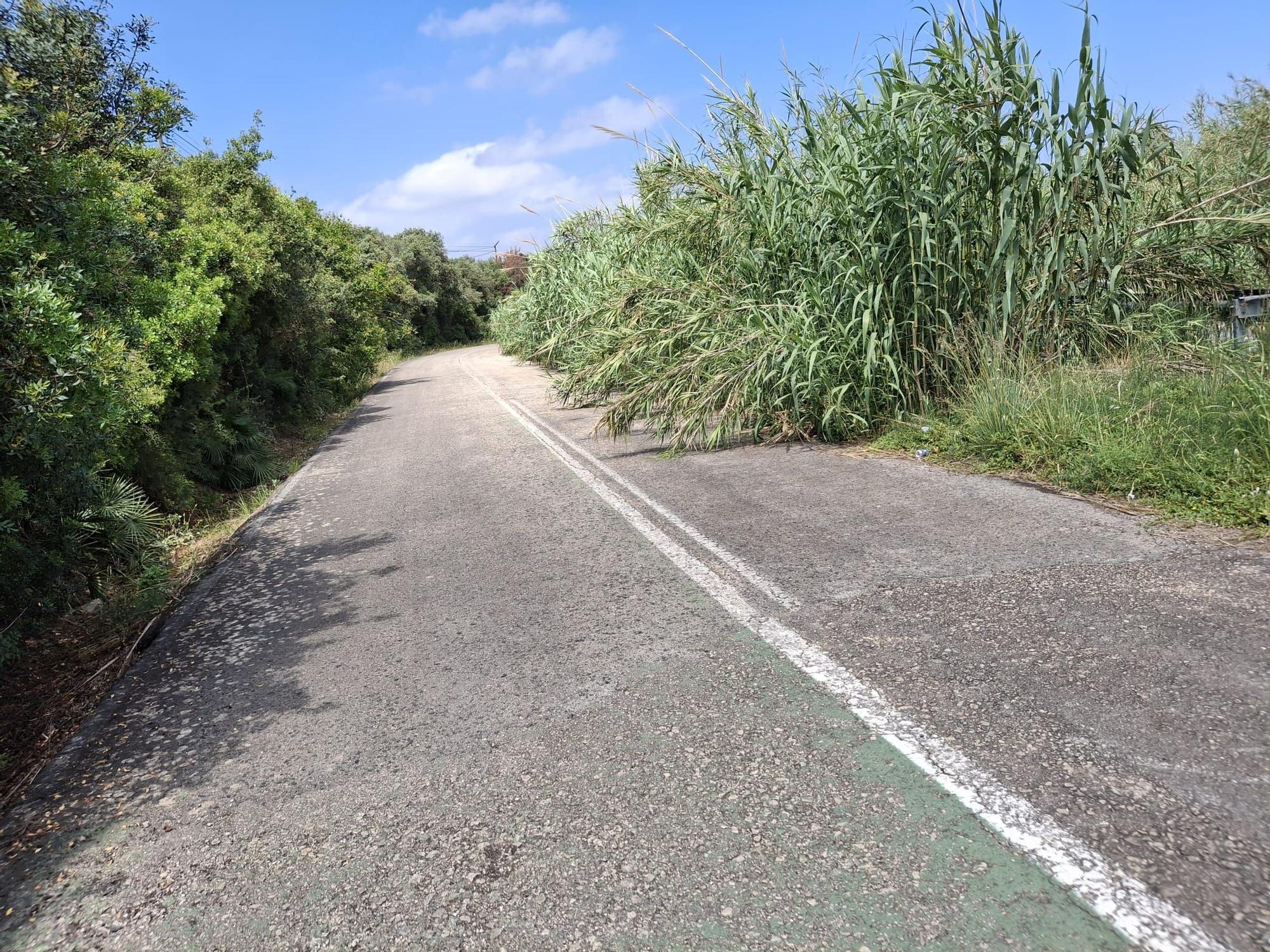 El deteriorado carril bici de El Verger a Pego y el peligroso cruce de Monte Pego