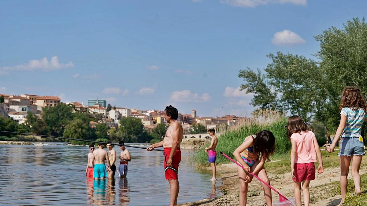 Zamoranos disfrutan del buen tiempo en la playa de Los Pelambres.