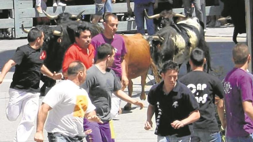 Almassora idea la vuelta de las entradas de vacas en San Marcos