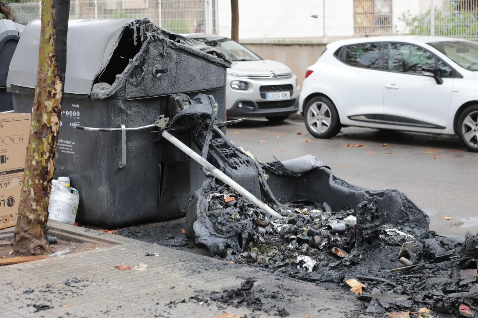 Oleada de incendios de contenedores y coches en es Coll d'en Rebassa