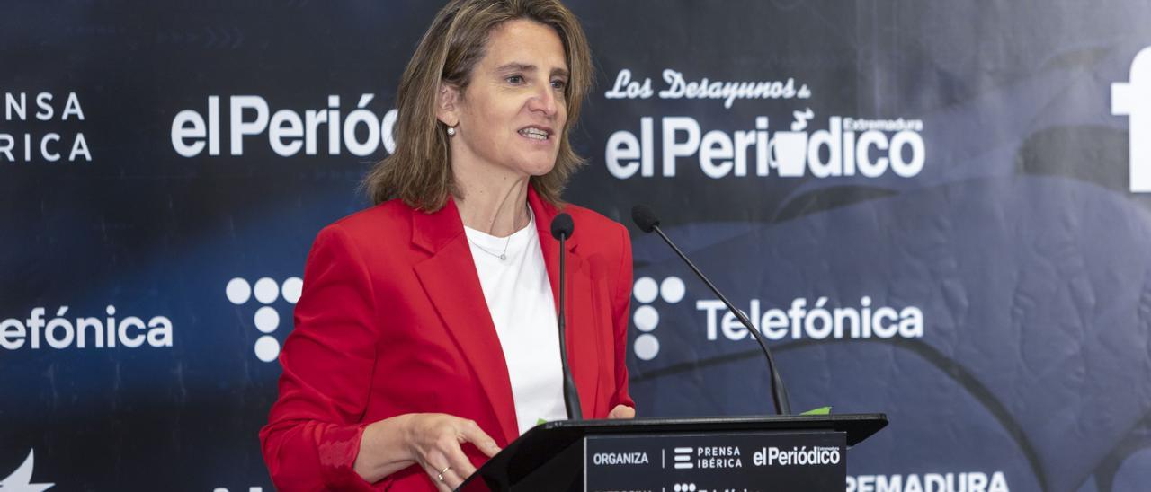 Teresa Ribera, ministra per a la Transició Ecològica